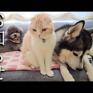 突然病院からお知らせがありました...