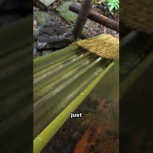 Eating Noodles from a Bamboo Water Slide in Japan 🍜