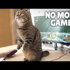 LuLu Won’t Let Me Play Games! | Kittisaurus