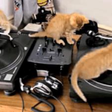 돌리고 돌리고,,,