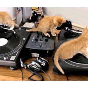 돌리고 돌리고,,,