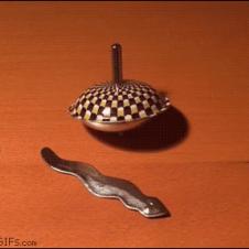 Magnetic top and snake