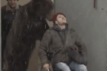러시아 장애인 안내곰
