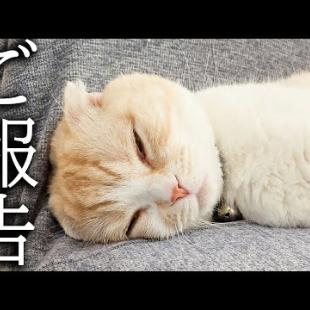 【ご報告】病院での血液検査の結果について...