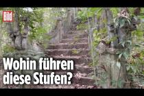 [독일 Bild紙] Wanderer entdecken mysteriöse Treppe im Dschungel | Thailand