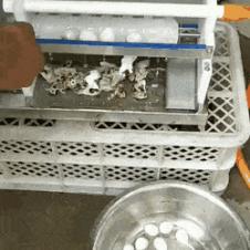 메추리알 껍질 벗기는 기계