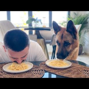 Spaghetti Eating Competition: My German Shepherd Dog vs. Me