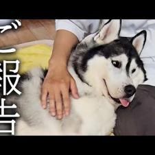 【ご報告】健康状態と今後について...