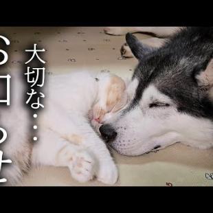 今まで応援してくださった皆様に大切なお知らせ...