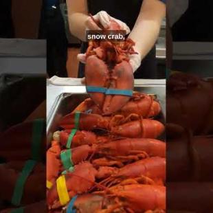 #1 GREATEST Live Lobster Buffet in America!